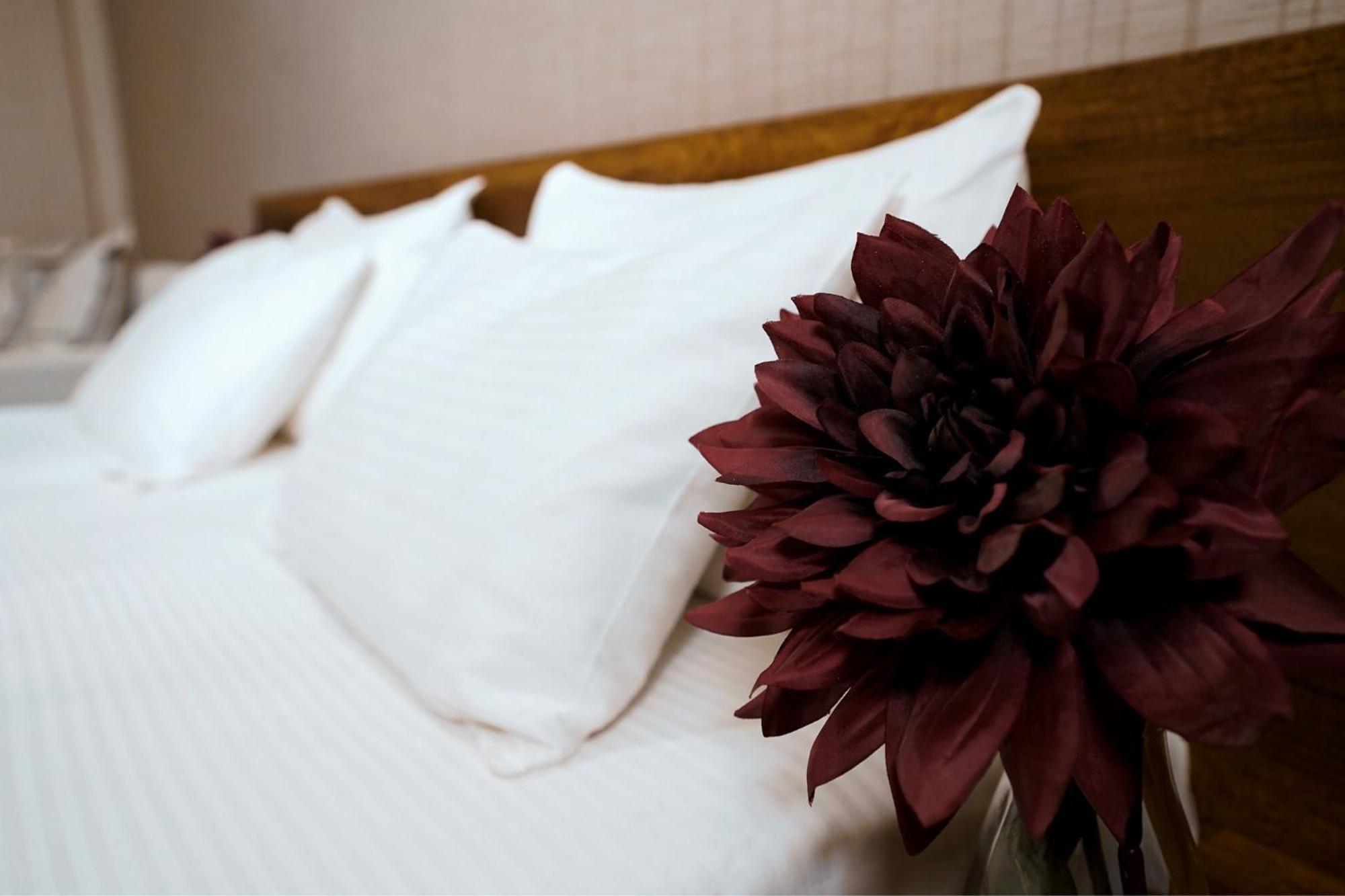 Loft Hotel 巴库里阿尼 外观 照片